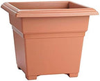 Root & Vessel Countryside Square Planter, Terra Cotta, 18-Inch by Novelty
