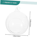 2pcs Glass Hanging Globe Terrarium for Succulents and Plants - Image 2