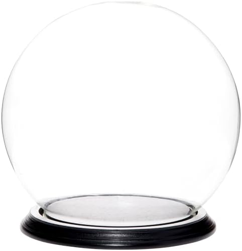 Plymor 7.5" x 8.5" Glass Display Dome Globe Cloche (Black Wood Veneer Base), Pack of 2 by Plymor