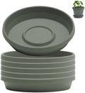 Bloem Terra Plastic Saucer Tray for 10" Terra Planters, Basil, 6-Pack by Bloem