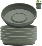 Bloem Terra Plastic Saucer Tray for 10" Terra Planters, Basil, 6-Pack by Bloem