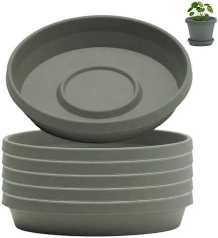 Bloem Terra Plastic Saucer Tray for 10" Terra Planters, Basil, 6-Pack by Bloem