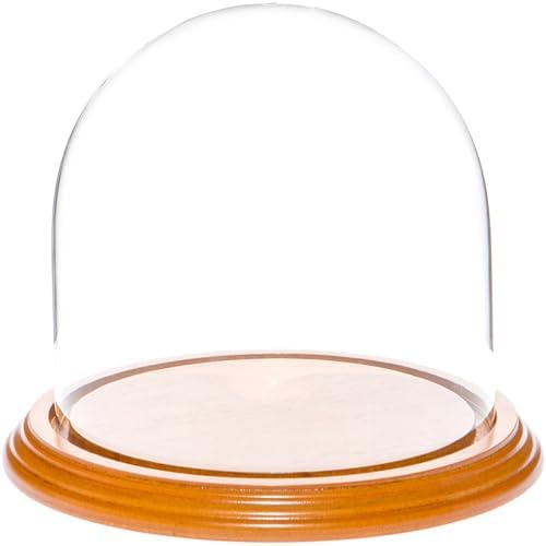 Plymor 5.5" x 5.5" Glass Display Dome Cloche (Oak Veneer Base) by Plymor
