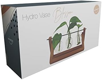 Winkee - Hydrovase Blossom | 3 x Flower Vase with 1 x Wooden Stand | Table Planter | Modern Decoration | Glass Propagation Station | Plant Glass | Root Glass Vase | Gift for Mother's Day, Birthday - Image 6