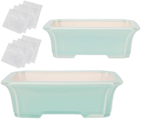 Set of 2 Zisha White Clay Bonsai Pot Glazed Shallow Succulent Planter Light Green by Happy+Bonsai