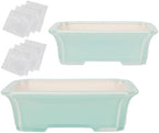 Set of 2 Zisha White Clay Bonsai Pot Glazed Shallow Succulent Planter Light Green by Happy+Bonsai