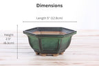 Willow Bonsai Ceramics Hexagonal Windowed Bonsai Pot 5 Inch – Semi‑Cascade Planter, High‑Fired Frost‑Proof Stoneware with Drainage & Wiring Holes, Handmade in USA (Avocado) - Image 4