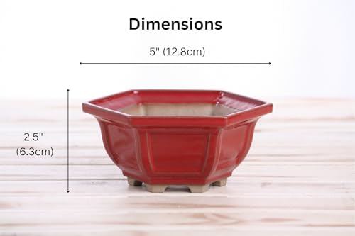 Willow Bonsai Ceramics Hexagonal Windowed Semi-Cascade Bonsai Pot, 5inch, Plant Container, Succulant Pot, High Fired Ceramic Stoneware, Frost Proof (Red) - Image 4