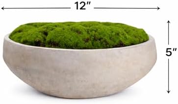 Hand Painted Cement Moss Bowl | 12 Inch | Artificial Moss Centerpiece | Decorative Coffee Table Bowl - Image 3