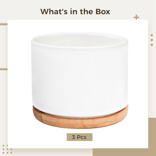 Set of 3 White Ceramic Succulent Pots with Bamboo Trays for Tabletop, Perfect for Home Or Office Decoration - Image 5