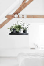 Ecopots Hanging Round Planter Saucer, Dark Grey, 14" - Image 3