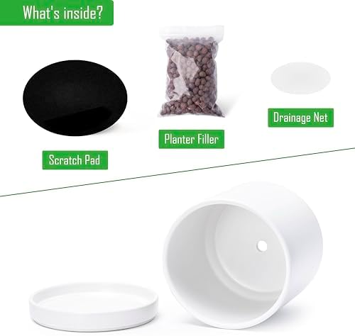 D'vine Dev 2-Pack Ceramic Pots with Saucers, White, 8.2 in, 94-V-D-1 - Image 4