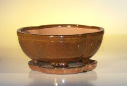Bonsai Boy Aztec Orange Ceramic Bonsai Pot - Lotus Shape Professional Series with Attached Humidity Drip tray 8 5 x 6 5 x 3 5 by Bonsai+Boy