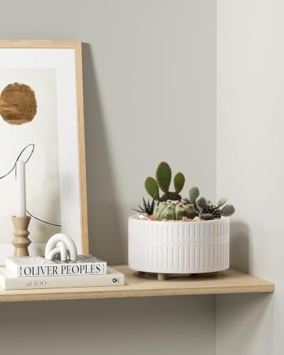 LE TAUCI Succulent Pots, 6.5+8 Inch Ceramic Indoor Plant Pot with Drainage Hole, Shallow Round Succulent Planters, Set of 2, Matte White - Image 6