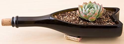 Bonsai Jack Succulent, Cactus and Bonsai Soil - Jacks Gritty Mix - 6 Gallons – Fast Draining – Fight Root Rot – Optimized pH - Image 6