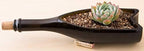 Bonsai Jack Succulent, Cactus and Bonsai Soil - Jacks Gritty Mix - 12 Gallons – Fast Draining – Fight Root Rot – Optimized pH - Image 6