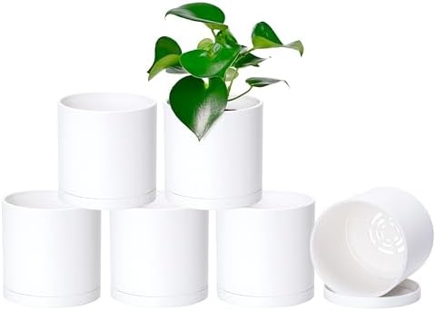 D'vine Dev 6-Pack White Plastic Planters with Saucers, 5 in, 74-Z-G-3 by DvineDevPlanterPotsandStand