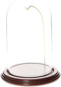 Plymor 4.5" x 8" Watch/Ornament Glass Display Dome Cloche (Dark Mahogany Veneer Base & Gold Wire) by Plymor