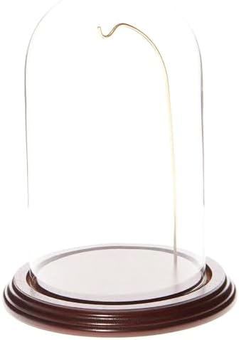 Plymor 4.5" x 8" Watch/Ornament Glass Display Dome Cloche (Dark Mahogany Veneer Base & Gold Wire) by Plymor