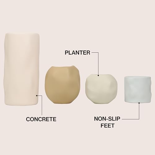 Eyely Nora Modern Minimalist Handmade Concrete Organic Sculptural Cylinder and Round Planter Set with Drainage Holes, Matte Warm Neutral (Set of 4) (NLP1001A-4SET) - Image 4