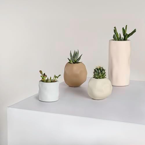 Eyely Nora Modern Minimalist Handmade Concrete Organic Sculptural Cylinder and Round Planter Set with Drainage Holes, Matte Warm Neutral (Set of 4) (NLP1001A-4SET) - Image 5
