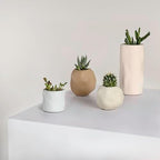Eyely Nora Modern Minimalist Handmade Concrete Organic Sculptural Cylinder and Round Planter Set with Drainage Holes, Matte Warm Neutral (Set of 4) (NLP1001A-4SET) - Image 5