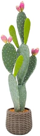 Artificial Cactus Plant Outdoor, 41” Tall UV-Resistant Fake Cacti Plants with Realistic Pads & Vibrant Fruits in Brown Pot, Faux Floor Plant for Indoor Home Living Room Foyer Porch Balcony by Keeplush