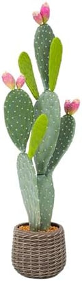 Artificial Cactus Plant Outdoor, 41” Tall UV-Resistant Fake Cacti Plants with Realistic Pads & Vibrant Fruits in Brown Pot, Faux Floor Plant for Indoor Home Living Room Foyer Porch Balcony by Keeplush
