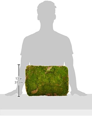 SuperMoss (21508) Preserved Sheet Moss, Fresh Green, 5 Pounds - Image 6