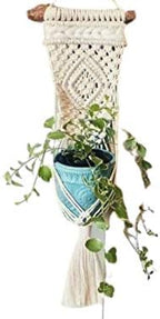 WILD COTTON Fiber Arts Macrame Plant Hanger Indoor Wall Hanging Planter Basket Long Flower Pot Holder Boho Home Decor, 30 Inch by Handmade