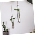 3pcs Glass Wall Hanging Propagation Tubes for Indoor Plants Xmas - Image 5