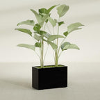 Greenline Leo Tall Rectangular Fiberglass Planter, Outdoor Planter Box - Image 4