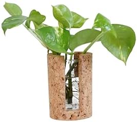 Natural Cork Cylindrical Propagation Planter by CorkEssentials