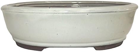 Brussel's Bonsai - Large Ceramic Bonsai Plant Pot, Oval Glazed Planter by BrusselsBonsai