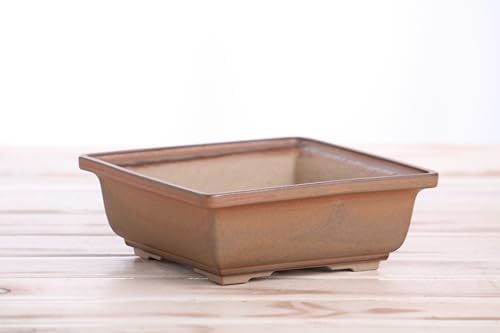 Willow Bonsai Ceramics Square Bonsai Pot 6 Inch – Low‑Profile Square Ceramic Bonsai & Succulent Pot with Accentuated Rim, High‑Fired Frost‑Proof Stoneware, Handmade in USA (Deep Stone, 6inch) - Image 3