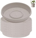 Bloem Terra Plastic Saucer Tray for 12" Terra Planter, Vanilla Bean, 6-Pack by Bloem