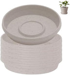 Bloem Terra Plastic Saucer Tray for 10" Terra Planter, Vanilla Bean, 6-Pack by Bloem