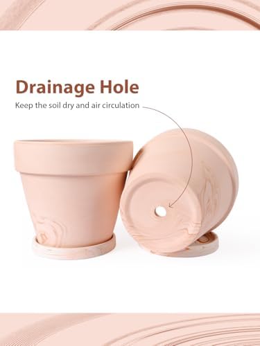 INGOFIN 8 Inch Terracotta & Clay Pots for Plants with Saucers, 2 Pack - Image 6