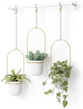 Umbra Triflora Hanging Planter, Indoor Herb Garden, Set of 3, White/Brass by Umbra