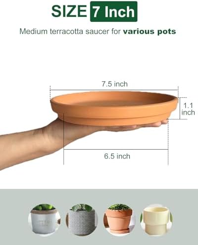 7.5 Inch Terracotta Plant Saucer - 6 Pcs Large Terra Cotta Saucer for Indoor & Outdoor Plants, Plant Drip Trays Perfect for 6 Inch 6.5 Inch Flower Pots - Image 2