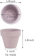 2 Inch Pink Terracotta Pots Pack of 72 - Mini Clay Pot with Drainage Hole for Tiny Cactus Herb lithop, Small Succulent Planter Nursery Plant Pot for Windowsill, Cactus Plant, Crafts, Wedding Favors - Image 2