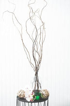 Richland Natural Curly Willow Branches 3'-4' Bundle Set of 6 - Image 3