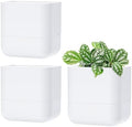 Phoenix Vine 6.5 Inch Wall Mounted Self-Watering Planter Pot for Indoor Houseplants and Herbs | Hanging Planter for Window Sills, Bathroom Walls, Home & Office Décor, White, Set of 3, 01-C-D-3 by Phoenix+Vine