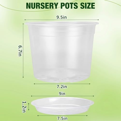 10 Inch Clear Nursery Pots with Drainage Holes and Saucers, 5 Pack Large Clear Pots for Plants Variety Pack, Seedling Pots for Succulents, Herbs, Flowers, Vegetables - Image 2