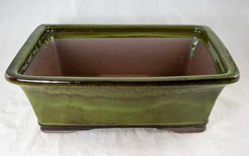Yubonzai Rectangular Moss Green Glazed Bonsai Pot, Cactus & Succulent Planter + Tray + Mesh - 12"x 9.25"x 4" - Image 2