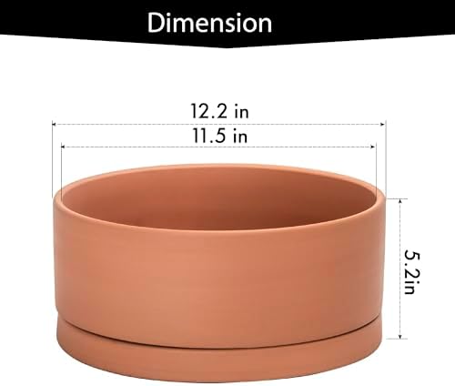 D'vine Dev Terracotta Shallow Planter Pot with Saucer, 12 in, 40-Y-C-0 - Image 3