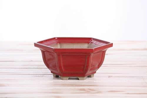 Willow Bonsai Ceramics Hexagonal Windowed Semi-Cascade Bonsai Pot, 5inch, Plant Container, Succulant Pot, High Fired Ceramic Stoneware, Frost Proof (Red) - Image 2