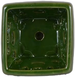 W&W Orchid Pot with Holes and Saucer for Repotting, Seagreen, 5.5" - Image 3