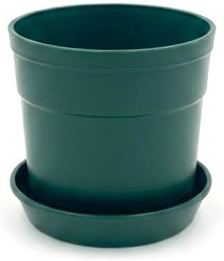 12-Piece Plant Pot & Saucer Set, Green - Image 5