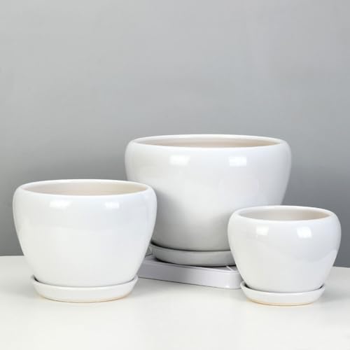 PAYAER Modern White Ceramic Plant Pot Set, Round Indoor/Outdoor Flower Pots with Saucers, Decorative Plant Container for Cactus, Succulents, Garden, Balcony, and Office Decor(25CM) - Image 4